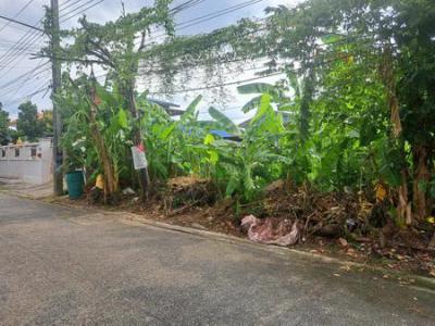 ที่ดิน 1590000 ปทุมธานี ธัญบุรี ประชาธิปัตย์