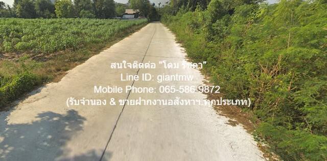 ที่ดิน 110000 ชลบุรี สัตหีบ นาจอมเทียน ที่ดิน 110000 ชลบุรี สัตหีบ นาจอมเทียน