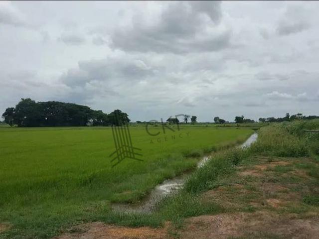 ที่ดิน 650000 พระนครศรีอยุธยา มหาราช หัวไผ่ ที่ดิน 650000 พระนครศรีอยุธยา มหาราช หัวไผ่