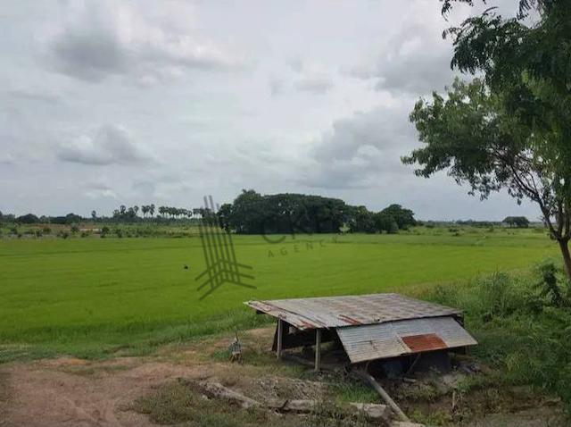 ที่ดิน 650000 พระนครศรีอยุธยา มหาราช หัวไผ่ ที่ดิน 650000 พระนครศรีอยุธยา มหาราช หัวไผ่