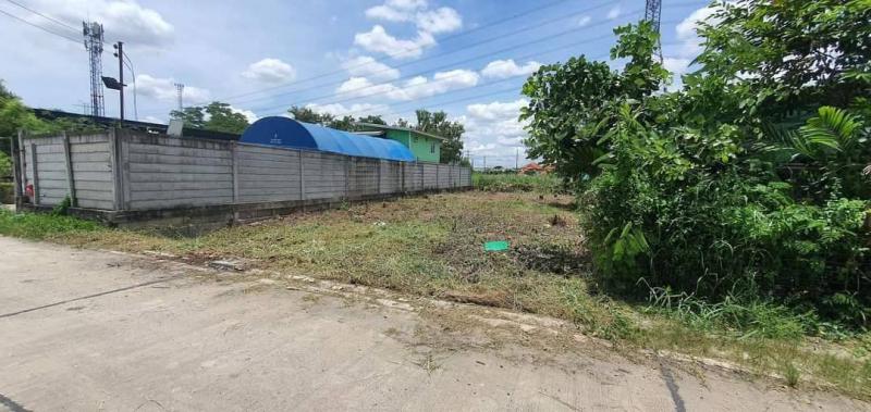 ที่ดิน 2450000 นนทบุรี ปากเกร็ด บ้านใหม่ ที่ดิน 2450000 นนทบุรี ปากเกร็ด บ้านใหม่
