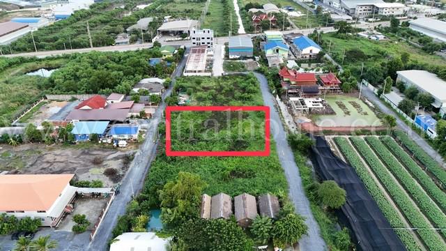 ที่ดิน 3200000 นนทบุรี ไทรน้อย คลองขวาง ที่ดิน 3200000 นนทบุรี ไทรน้อย คลองขวาง