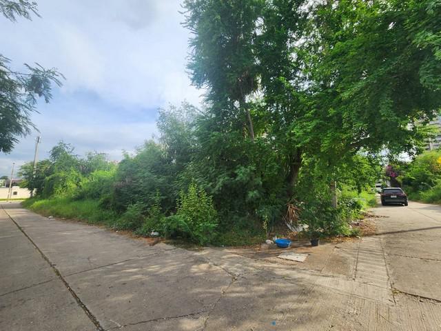 ที่ดิน 95000 นนทบุรี ปากเกร็ด บ้านใหม่ ที่ดิน 95000 นนทบุรี ปากเกร็ด บ้านใหม่