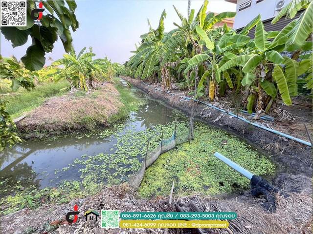 ที่ดิน 5700000 กรุงเทพมหานคร เขตบางบอน บางบอน ที่ดิน 5700000 กรุงเทพมหานคร เขตบางบอน บางบอน