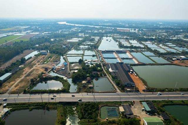 ที่ดิน 1755000 ฉะเชิงเทรา เมืองฉะเชิงเทรา คลองนา ที่ดิน 1755000 ฉะเชิงเทรา เมืองฉะเชิงเทรา คลองนา