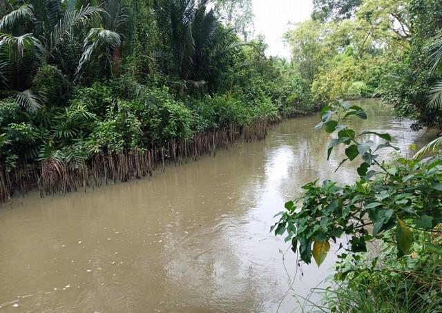 ที่ดิน 1755000 ฉะเชิงเทรา เมืองฉะเชิงเทรา คลองนา ที่ดิน 1755000 ฉะเชิงเทรา เมืองฉะเชิงเทรา คลองนา
