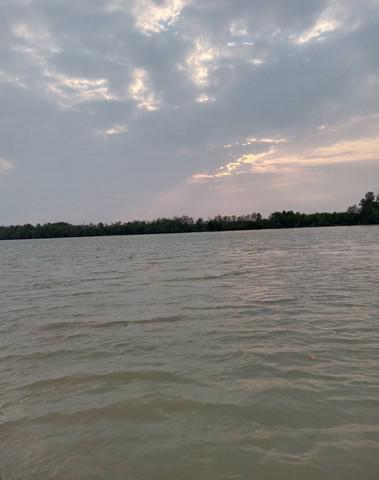 ที่ดิน 22000000 ฉะเชิงเทรา บ้านโพธิ์ แสนภูดาษ