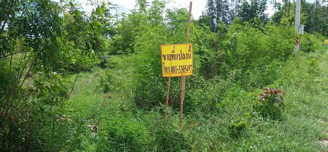 ที่ดิน 2500000 ฉะเชิงเทรา บ้านโพธิ์ แหลมประดู่ ที่ดิน 2500000 ฉะเชิงเทรา บ้านโพธิ์ แหลมประดู่