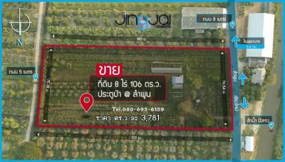 ที่ดิน 12500000 ลำพูน เมืองลำพูน ประตูป่า