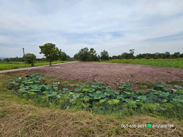 ที่ดิน 1450000 นครนายก เมืองนครนายก ศรีนาวา ที่ดิน 1450000 นครนายก เมืองนครนายก ศรีนาวา