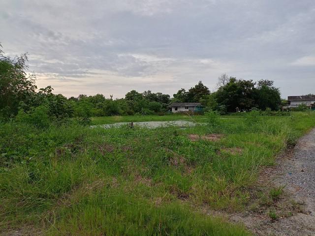 ที่ดิน 0 ฉะเชิงเทรา บางปะกง ท่าสะอ้าน ที่ดิน 0 ฉะเชิงเทรา บางปะกง ท่าสะอ้าน