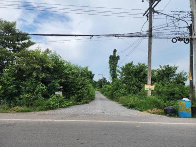 ที่ดิน 350000 ปทุมธานี หนองเสือ หนองสามวัง