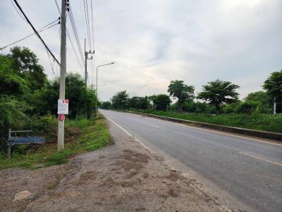 ที่ดิน 280000 ปทุมธานี หนองเสือ บึงกาสาม