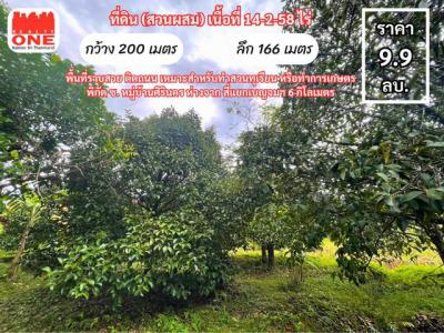 ที่ดิน 9900000 นครศรีธรรมราช เมืองนครศรีธรรมราช นาทราย