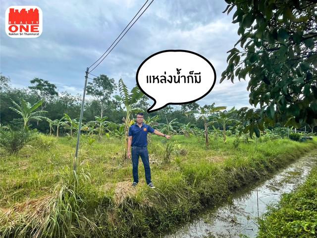 ที่ดิน 9900000 นครศรีธรรมราช เมืองนครศรีธรรมราช นาทราย ที่ดิน 9900000 นครศรีธรรมราช เมืองนครศรีธรรมราช นาทราย