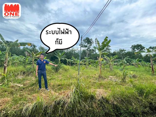 ที่ดิน 9900000 นครศรีธรรมราช เมืองนครศรีธรรมราช นาทราย ที่ดิน 9900000 นครศรีธรรมราช เมืองนครศรีธรรมราช นาทราย