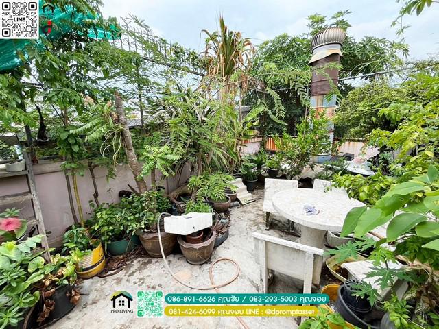 อาคารพาณิชย์ 12390000 กรุงเทพมหานคร เขตจอมทอง บางขุนเทียน อาคารพาณิชย์ 12390000 กรุงเทพมหานคร เขตจอมทอง บางขุนเทียน