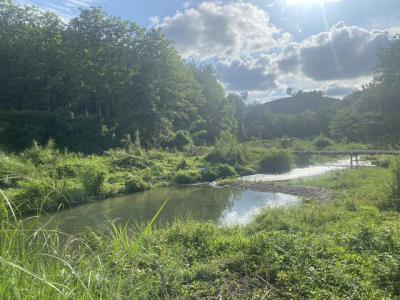 ที่ดิน 800000 น่าน สันติสุข ดู่พงษ์