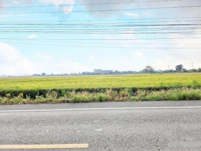 ที่ดิน 4000000 ฉะเชิงเทรา บางปะกง เขาดิน