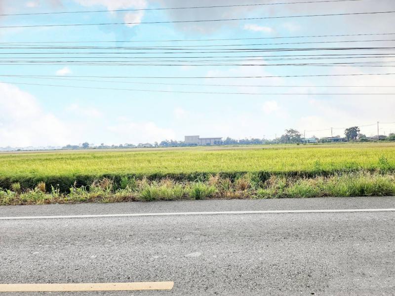 ที่ดิน 4000000 ฉะเชิงเทรา บางปะกง เขาดิน ที่ดิน 4000000 ฉะเชิงเทรา บางปะกง เขาดิน
