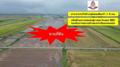 ที่ดิน 414000000 ฉะเชิงเทรา บางน้ำเปรี้ยว สิงโตทอง