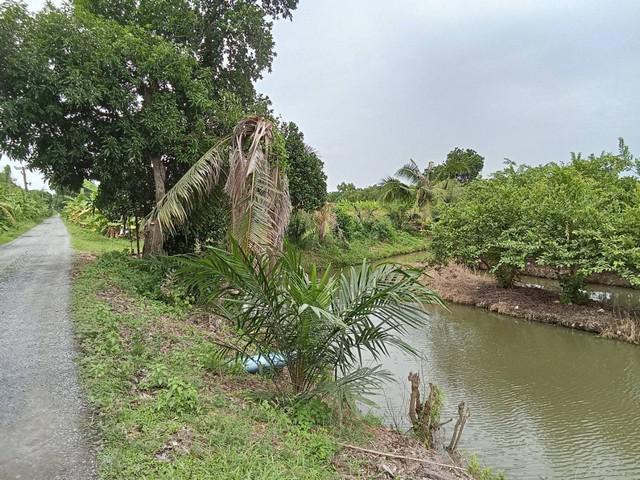 ที่ดิน 380000 สระบุรี หนองแค หนองแค ที่ดิน 380000 สระบุรี หนองแค หนองแค