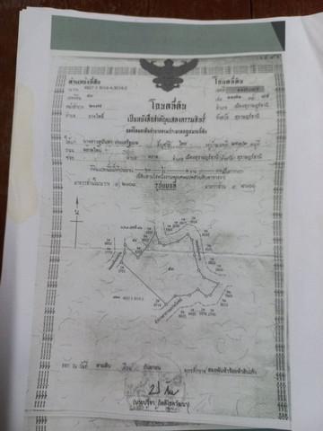 ที่ดิน 1 สุราษฎร์ธานี เมืองสุราษฎร์ธานี บางโพธิ์