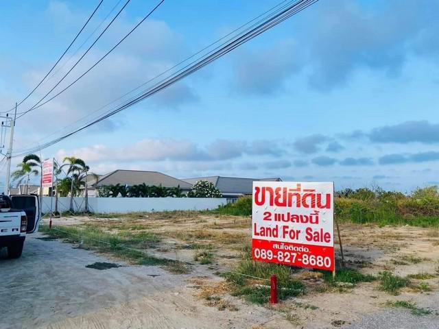ที่ดิน 3285000 เพชรบุรี ชะอำ ชะอำ ที่ดิน 3285000 เพชรบุรี ชะอำ ชะอำ
