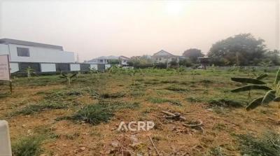 ที่ดิน 30000000 เชียงใหม่ เมืองเชียงใหม่ หนองหอย