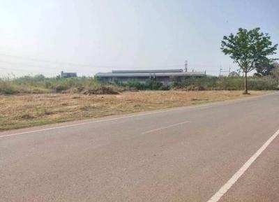 ที่ดิน 1250000 ชลบุรี บ่อทอง เกษตรสุวรรณ