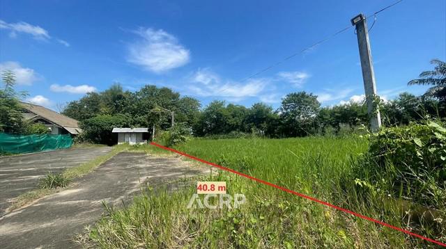 ที่ดิน 21362000 เชียงใหม่ แม่ริม ริมเหนือ ที่ดิน 21362000 เชียงใหม่ แม่ริม ริมเหนือ