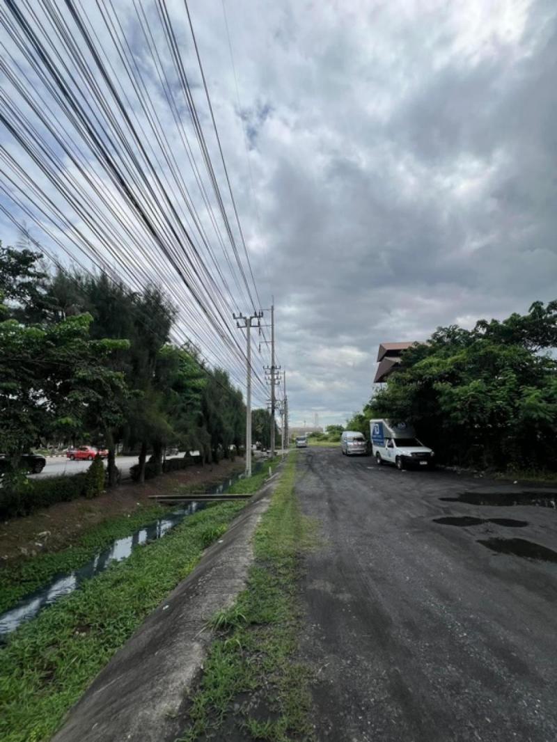 ที่ดิน 325000000 กรุงเทพมหานคร เขตบางนา บางนา ที่ดิน 325000000 กรุงเทพมหานคร เขตบางนา บางนา