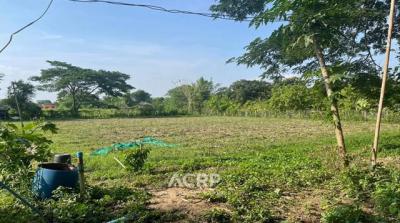 ที่ดิน 5500000 เชียงใหม่ แม่ริม สันโป่ง
