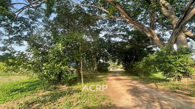 ที่ดิน 5500000 เชียงใหม่ แม่ริม สันโป่ง ที่ดิน 5500000 เชียงใหม่ แม่ริม สันโป่ง