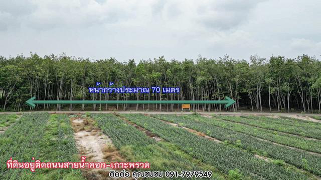 ที่ดิน 2890000 ระยอง เมืองระยอง น้ำคอก ที่ดิน 2890000 ระยอง เมืองระยอง น้ำคอก