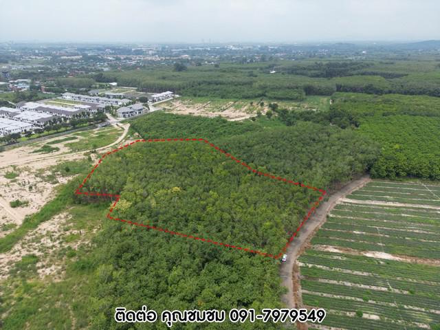 ที่ดิน 2890000 ระยอง เมืองระยอง น้ำคอก ที่ดิน 2890000 ระยอง เมืองระยอง น้ำคอก