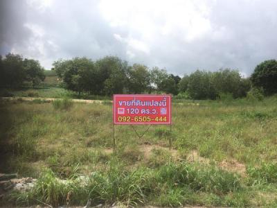 ที่ดิน 1200000 ระยอง กิ่งอำเภอนิคมพัฒนา มะขามคู่