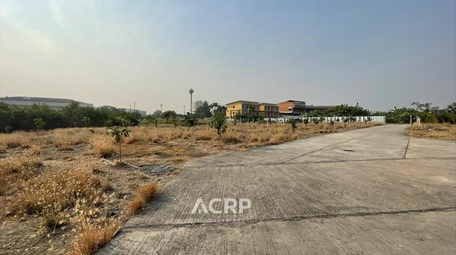 ที่ดิน 20540000 เชียงใหม่ หางดง หนองควาย ที่ดิน 20540000 เชียงใหม่ หางดง หนองควาย