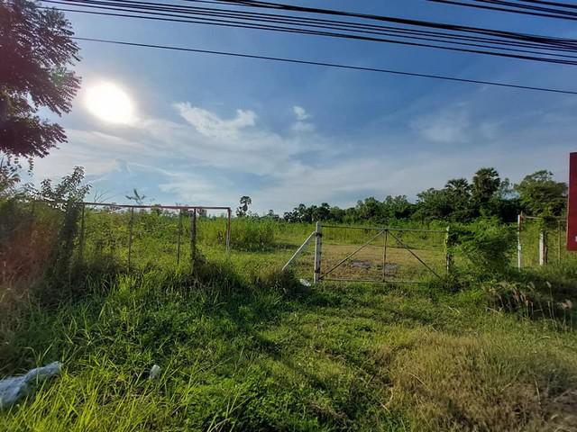 ที่ดิน 32000000 เพชรบุรี บ้านลาด บ้านลาด ที่ดิน 32000000 เพชรบุรี บ้านลาด บ้านลาด