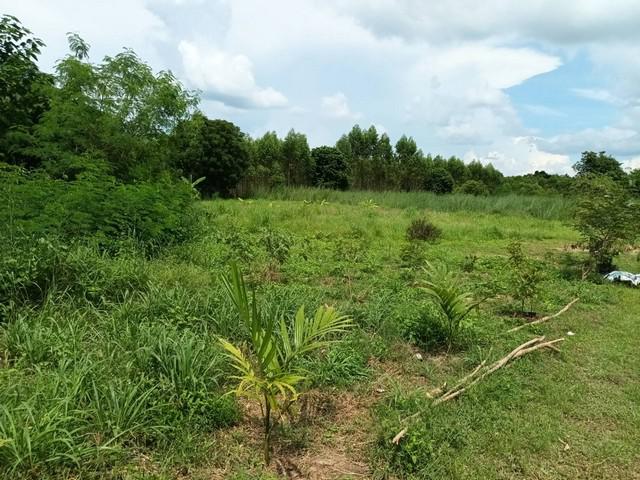 ที่ดิน 350000 ฉะเชิงเทรา พนมสารคาม เขาหินซ้อน
