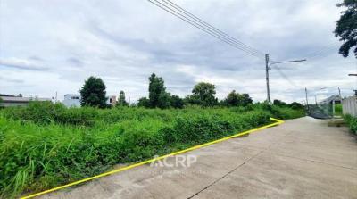 ที่ดิน 3800000 เชียงใหม่ หางดง น้ำแพร่