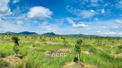 ที่ดิน 9500000 ลำพูน เมืองลำพูน มะเขือแจ้