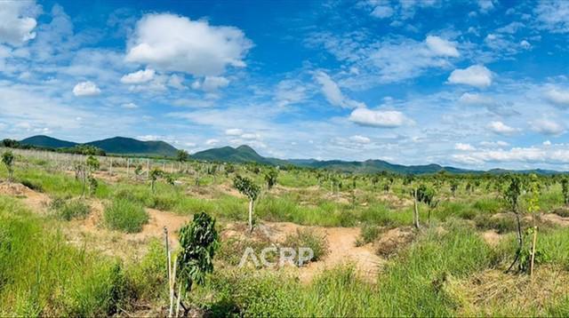 ที่ดิน 9500000 ลำพูน เมืองลำพูน มะเขือแจ้ ที่ดิน 9500000 ลำพูน เมืองลำพูน มะเขือแจ้