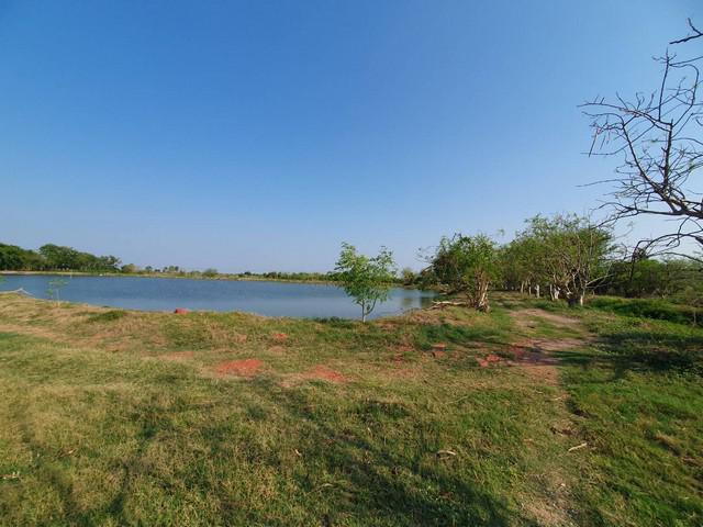 ที่ดิน 240000000 นครปฐม เมืองนครปฐม ถนนขาด ที่ดิน 240000000 นครปฐม เมืองนครปฐม ถนนขาด