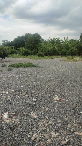 ที่ดิน 125000 กรุงเทพมหานคร เขตสวนหลวง สวนหลวง