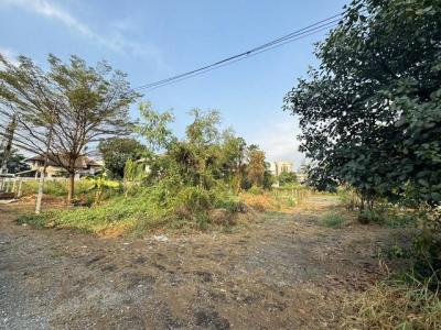 ที่ดิน 25120000 นนทบุรี ปากเกร็ด บางตลาด