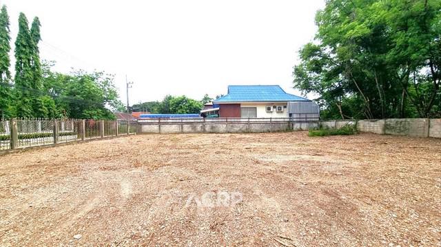 ที่ดิน 4842000 เชียงใหม่ สันทราย หนองจ๊อม ที่ดิน 4842000 เชียงใหม่ สันทราย หนองจ๊อม