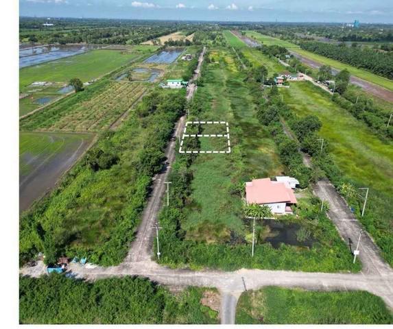 ที่ดิน 390000 ปทุมธานี หนองเสือ ศาลาครุ ที่ดิน 390000 ปทุมธานี หนองเสือ ศาลาครุ