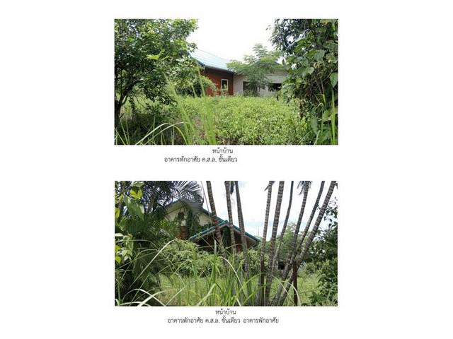 บ้านเดี่ยว 1800000 เชียงราย พาน สันมะเค็ด บ้านเดี่ยว 1800000 เชียงราย พาน สันมะเค็ด