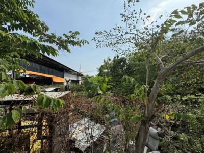 ที่ดิน 30000 กรุงเทพมหานคร เขตพระโขนง บางจาก